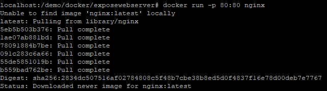 docker-download-nginx