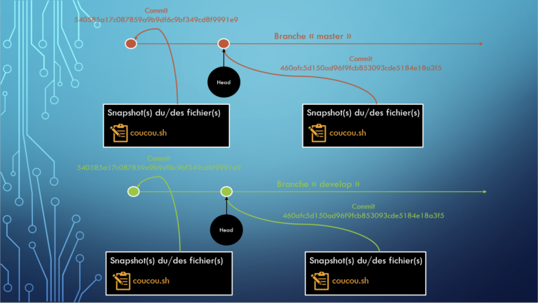 git-branch-1