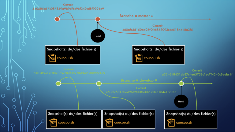 git-branch-2